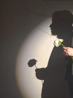 记两次完整的圣诞节，和一次圆满的剧本杀。

“快来看呀，伊森