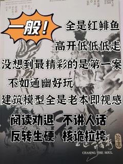 《追魂》这个名字起得挺好，玩到最后确实有点魂都被追走了...