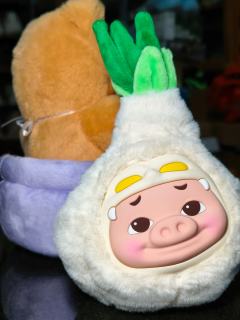 猪咪就这样心安理得的坐进蒜猪的盆栽﻿里？
GGBOND！可爱