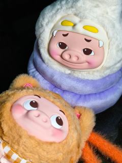 猪咪就这样心安理得的坐进蒜猪的盆栽﻿里？
GGBOND！可爱