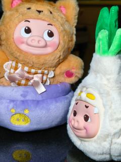 猪咪就这样心安理得的坐进蒜猪的盆栽﻿里？
GGBOND！可爱