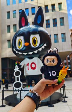 从第一次抢到labubu毛绒,到抽中盲盒隐藏的惊喜,再到蹲点