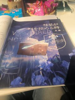夜空掠过彗星，是你夙愿已了。
窗前飘过彗星，是我得偿所愿。
