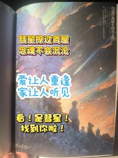 夜空掠过彗星，是你夙愿已了。
窗前飘过彗星，是我得偿所愿。
