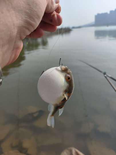 钓到🐡肯定要刷鞋子啦