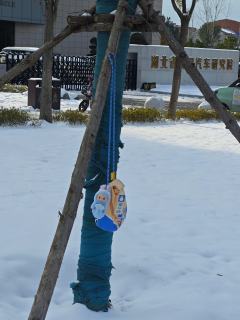 也是让labubu看到雪了，鱼尾太好看啦！！！