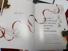 到底谁才是爱情中的笨笨笨笨金鱼 
🫶哥哥哥哥重要的是我们能