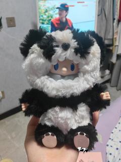 两只小熊猫到家啦～～～
可爱可爱～～～
听说是唯一一只可以坐