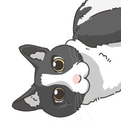 购买后给我发发送你们家小猫的照片就可以啦！

主页有抽选