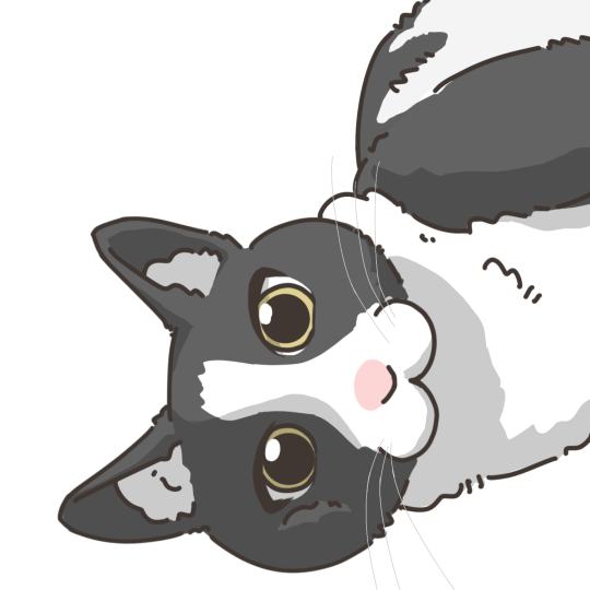 购买后给我发发送你们家小猫的照片就可以啦！主页有抽选