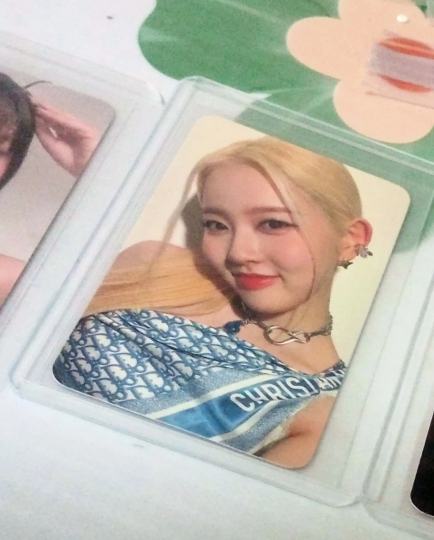 问人鱼恩市场价