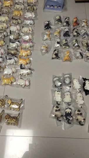 辛辛苦苦好几年，终是庄周梦了蝶