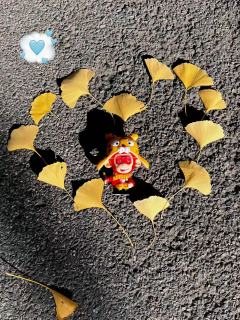 也是带我们家小猴出去玩上啦
开心吗小猴🥰🥰