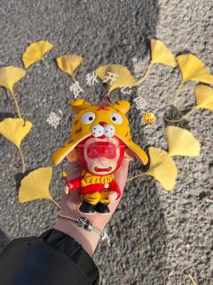 也是带我们家小猴出去玩上啦
开心吗小猴🥰🥰