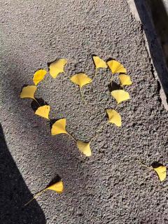 也是带我们家小猴出去玩上啦
开心吗小猴🥰🥰