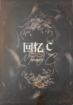 精彩，诡计的整体框架和案件的细节设计都很精彩，名副其实

8