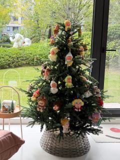 我的娃娃们就是最好的圣诞树装饰✌️