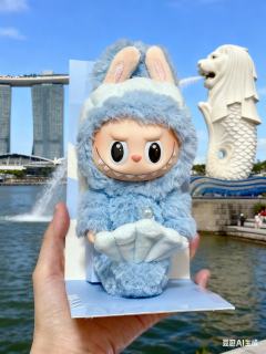 上周PDD百补买了一只鱼尾狮，鼻子有瑕疵，退货了，重新下单，