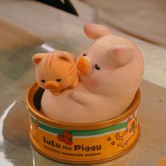 是谁那么幸运，终于在2025年打上了K。
感谢好朋友们让我两