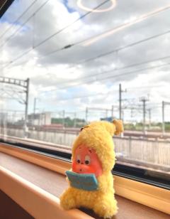 认真看书的小呆星
书看了，看没看懂不知道了🤷😘😘
中了