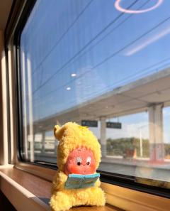 认真看书的小呆星
书看了，看没看懂不知道了🤷😘😘
中了