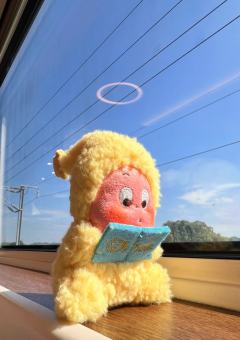 认真看书的小呆星
书看了，看没看懂不知道了🤷😘😘
中了