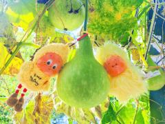 葫芦娃星星人
葡萄星星人
猫尾巴刘海星星人
欧到爆的搪胶星星