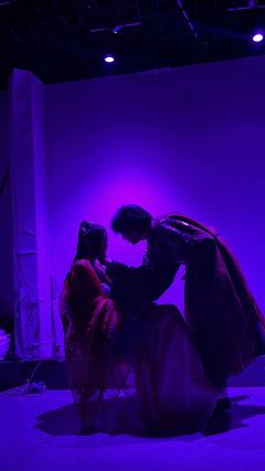 杏花和木樨花，我永远会选择后者。

类型：古风 情感 穿书 