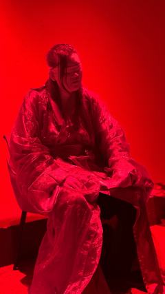 杏花和木樨花，我永远会选择后者。

类型：古风 情感 穿书 