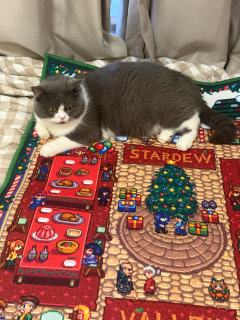 “老乡们，据说在冬日的夜空中，有一颗闪亮的星星，只能从此谷中