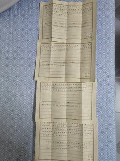 流芳二刷
​剧组：
六爻：陈明遇
星野：方亨
​嬛嬛：阎应元