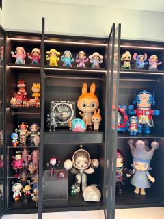 别人的衣柜里都是衣服包包首饰，我的都是手办😓