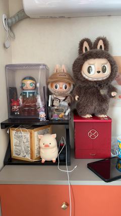 新的拉布布小搪胶要不要入手？感觉品控不是很好，些许纠结，昨晚