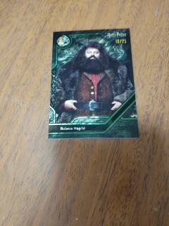 如果你问一个斯莱特林，限编卡代表了什么？
他的回答肯定是权力