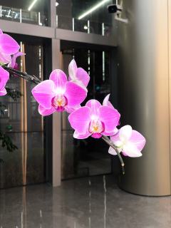 满墙的蝴蝶标本都不是我想要的那一只

DM
17-凤礼苏
宝