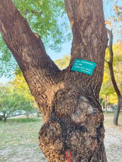 “请君入瓮，瓮中的人想出去，瓮外的人想进来”
📖剧本类型：