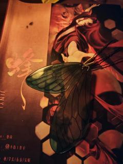  @国王十字凤凰社上海虹口店 
蟪蛄春秋
🦋寒蝉：小爱
�