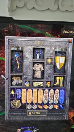 最爱的冰法已经顶配毕业，16000暴风雪输出，暗黑2割草游戏