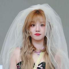 鹿茸、曲琦们来互关～