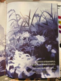 很小的立足点，却呈现了很大的故事，很好的情感，值得体验

他