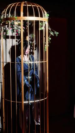 剧本：未逢春时
店家：长沙ti封神
角色：陆见微
时长：9-