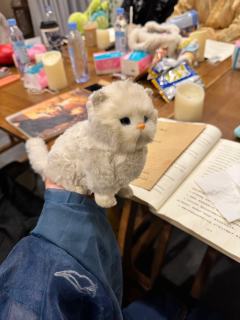 剧本：未逢春时
店家：长沙ti封神
角色：陆见微
时长：9-