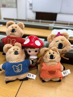 这么可爱的呆萌町 我有五只o(^▽^)o