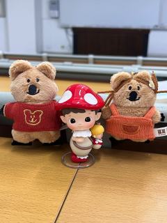 这么可爱的呆萌町 我有五只o(^▽^)o