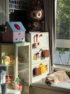 这次周四上新都是我喜欢的ip!
好久没一次性买这么多了~
s