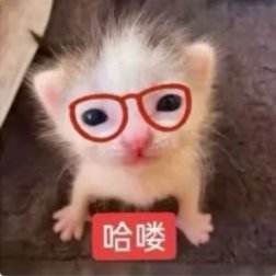 帖子封面图