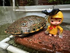 弟弟发现哥哥和妹妹穿的黄雨衣…瞬间感觉被孤立了，哭唧唧…最后