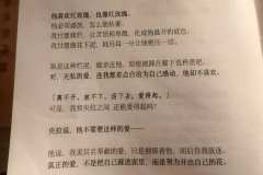 我不是伤寒，我是达瓦。
剧本角色：达瓦
剧本店铺：灰镜
剧本