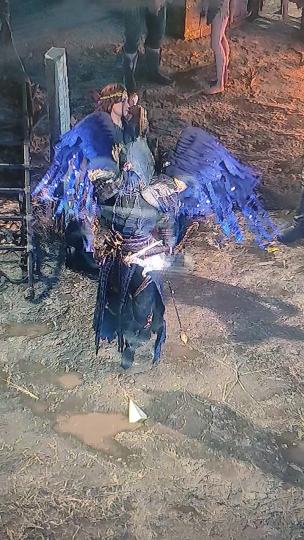 流放之路时装塑界者飞行套装还有10来天绝版。每件有4个层级不同外观，无支祁飞行特效平替，完美互通流放降临。
奇拉克宝库车队，从0过剧情到异界刷115张图。0基础的号可以剧情托管，只跟异界。
奇拉克通行