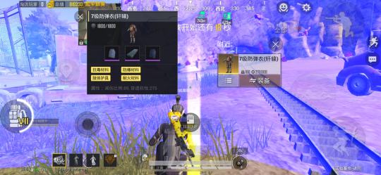 这个甲的遗憾是什么